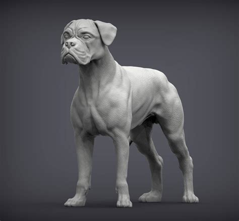 Boxer Dog 3D Print Model by Alexander3dart