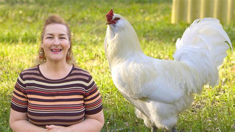 Chickens – Becky's Homestead