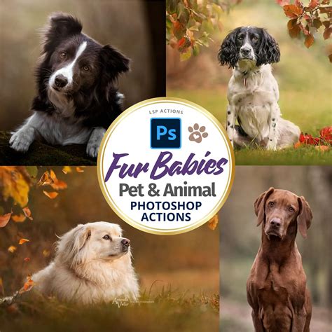 Award Winning Photoshop Actions & Presets for Portrait Photographers ...