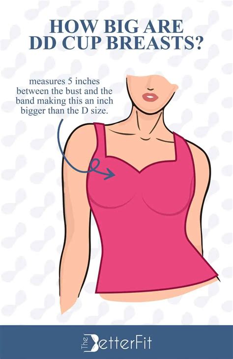How Big Is a DD Bra Cup Size? | TheBetterFit