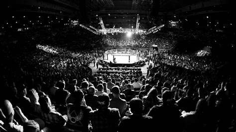 ufc stream free