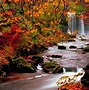 Image result for Cute Fall Desktop Wallpaper