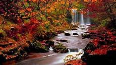 Best Autumn Wallpapers Hd by Autumn Wallpapers Hd Wallpaper Cave Best Autumn Wallpapers Hd