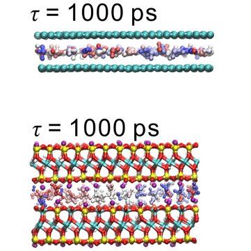 Water Diffusion 的图像结果