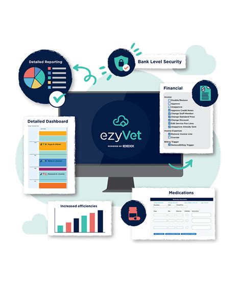 Ezyvet Tutorial Bundle 的图像结果