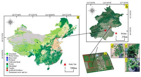 Detection of Cherry Tree Crown Based on Improved LA-dpv3+ Algorithm
