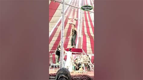 Image result for Jamulus Live Performance