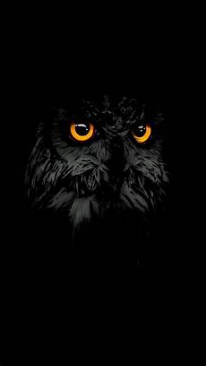 Black Owl Wallpaper Iphone by Black Owl Iphone Wallpaper Iphone Wallpapers Black Owl Wallpaper Iphone