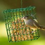 Image result for Feeding Rabbits Naturally