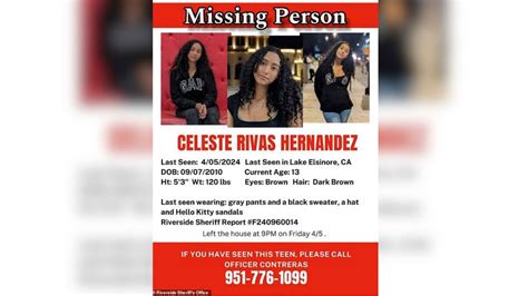 Body of teen found in D4vd's impounded Tesla is missing girl from Lake ...