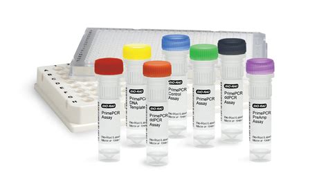 Image result for Bio PCR