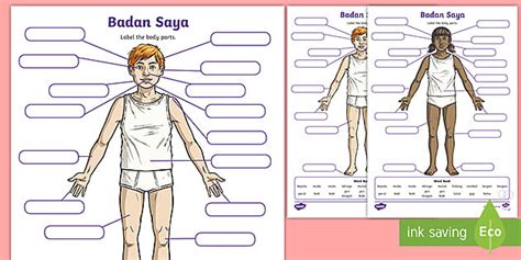 Indonesian My Body Labelling Activity (teacher made)
