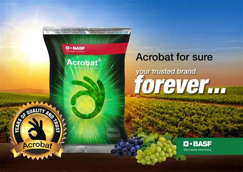BASF Acrobat (Dimethomorph 50% WP) Fungicide – Cultree India