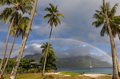 FO/K6VVK - Moorea Island - French Polynesia