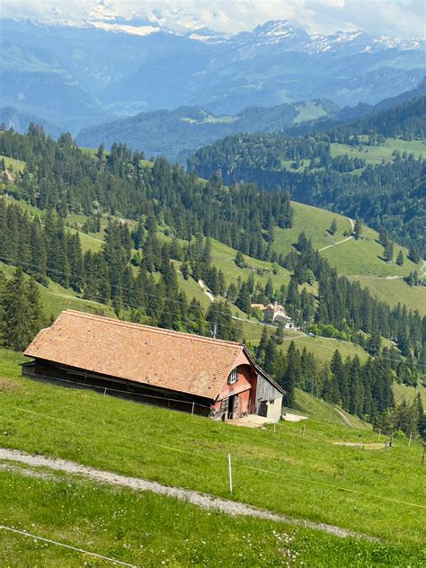 Grass Field Photography 的图像结果