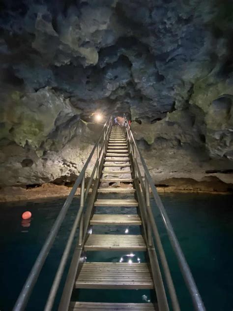 Image result for Little Devil Spring