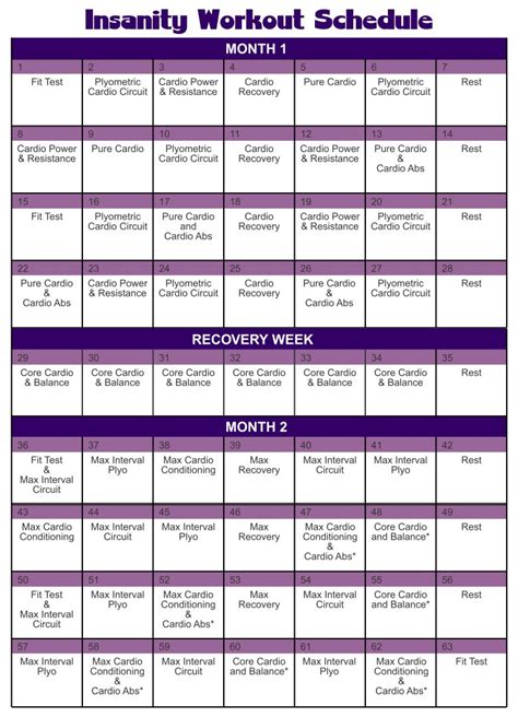 Insanity Workout Program 的图像结果