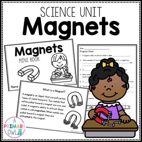 Image result for Magnetic Science Book