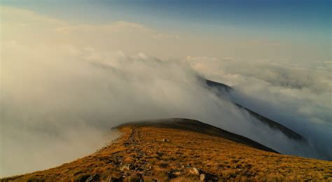山中现浓雾的奇特景观 - 天气实况 -中国天气网