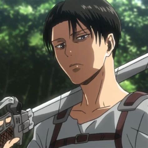 Levi Aot 的图像结果