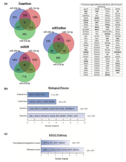miR-23b-3p, miR-124-3p and miR-218-5p Synergistic or Additive Effects ...