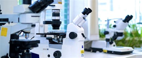 About SGS | SGS India