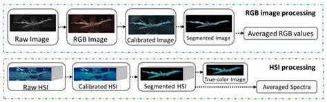 Precise Estimation of NDVI with a Simple NIR Sensitive RGB Camera and ...
