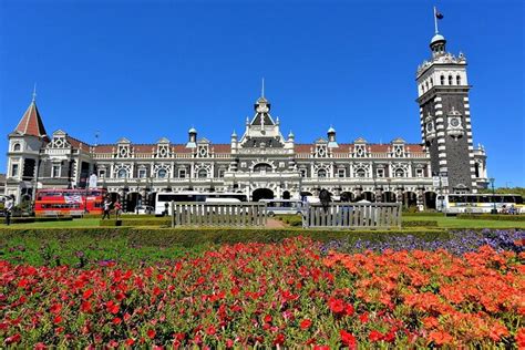 2025 Private Wildlife and Penguin Tour in Dunedin with Ticket - with ...