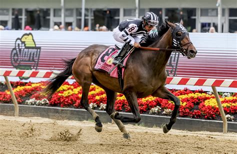 Saratoga Picks | Shuvee Stakes 2024