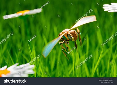 Robot Insect 的图像结果