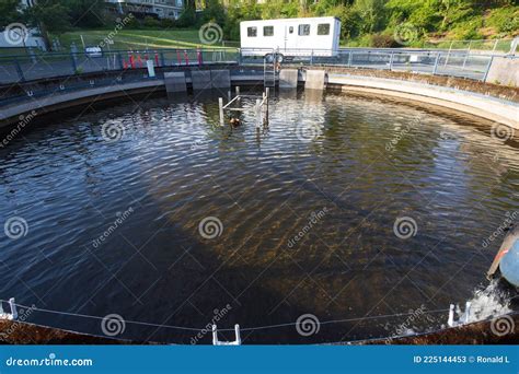 Salmon Rearing Pond at Maritime Heritage Park, Bellingham, Washington ...
