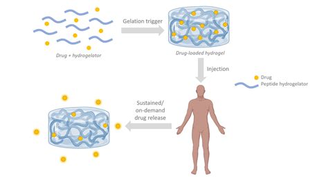 Peptide-Based Supramolecular Hydrogels as Drug Delivery Agents: Recent Advances