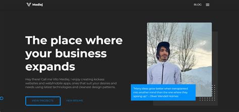 Image result for JavaScript Portfolio GitHub Templates