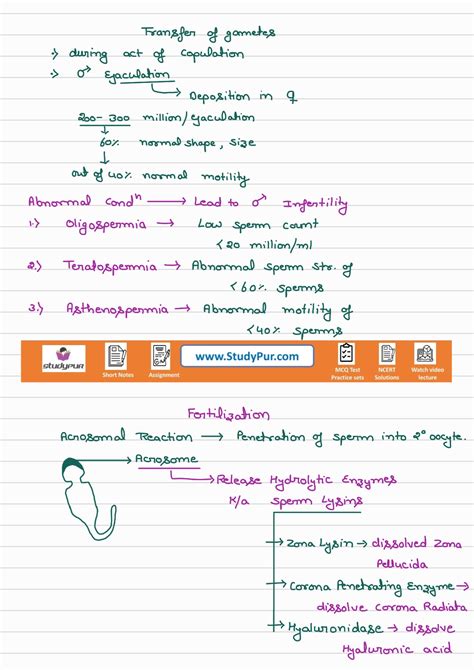 Image result for Isinamuva Human Reproduction Notes