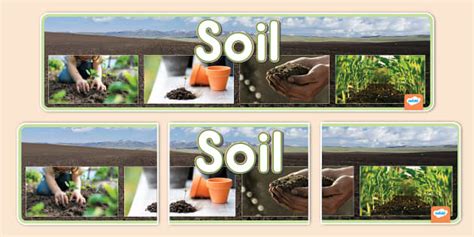 Soil Photo Display Banner (teacher made) - Twinkl