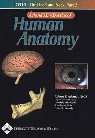 Buy Acland's DVD Atlas of Human Anatomy, DVD 5: The Head and Neck, Part ...