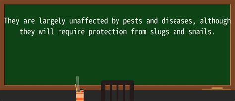 Correct Answer Backdrop 的图像结果