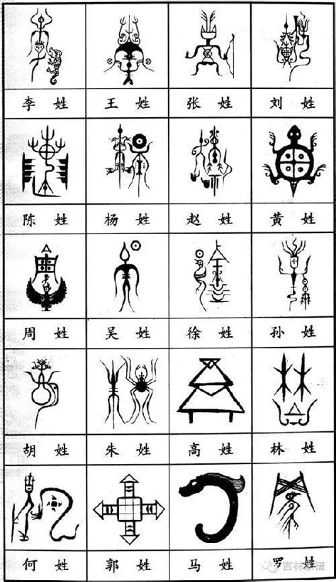 族谱学首页 - 迈高数字