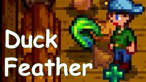Stardew Valley: how to get duck feather - YouTube