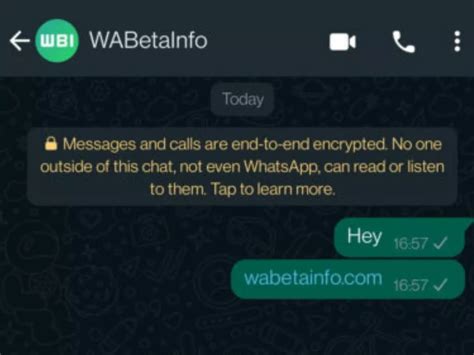 WhatsApp Testing Message Reactions, New UI Colours In Beta Versions Of App