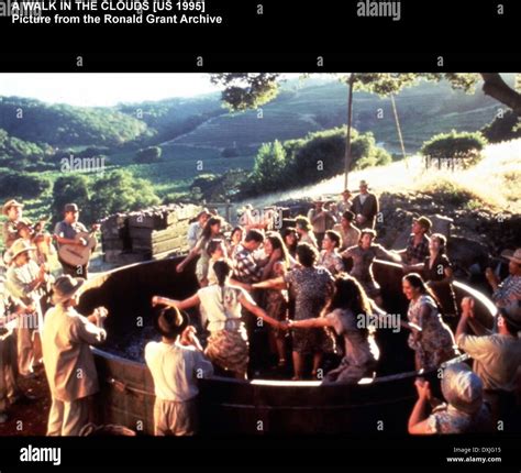 A WALK IN THE CLOUDS Stock Photo - Alamy