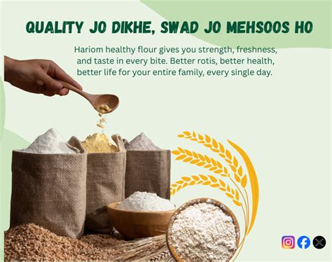 Hariom Atta & Spices: Buy Fresh MP Chakki Atta Online | Pure & Healthy