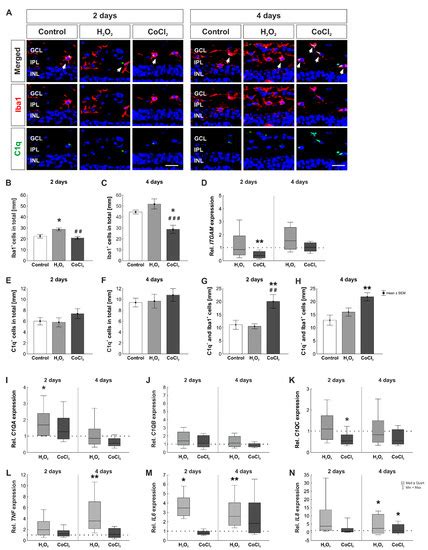 Hypoxic Processes Induce Complement Activation via Classical Pathway in ...