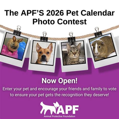 Lights, camera, action! 📷⭐ Your pet could be featured on the 2026 APF ...