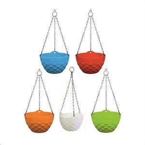 Asian Aura Hanging Euro Basket For Indoor and Outdoor with Chain Plant ...