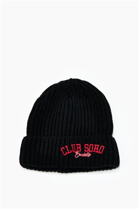 Install Beanie Python 的图像结果