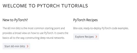 Pytorch Org Tutorial 的图像结果