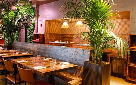 Feast Your Eyes Upon Tiger Mama, Your New Tropical Vacation Destination ...