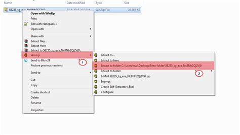 Image result for How to Extract On Windows