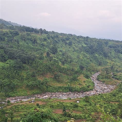 THE RESERVE GORUMARA (Chak Maulani) - Guesthouse Reviews, Photos, Rate ...
